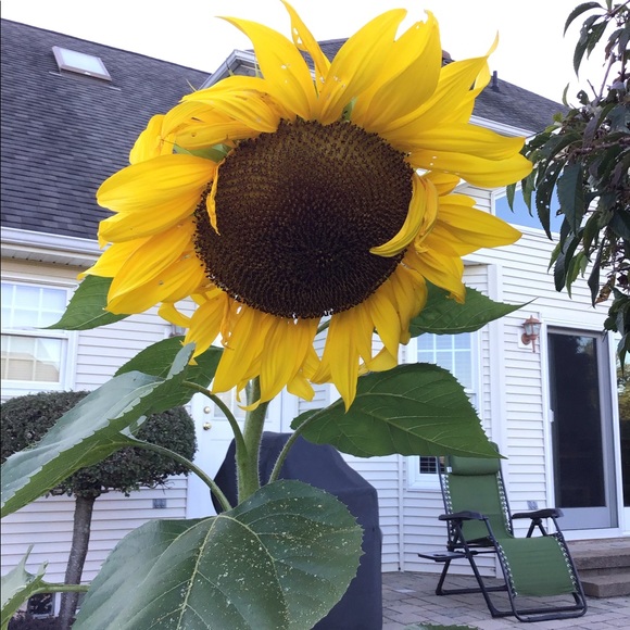 Meet your Posher, Maria - Picture 2 of 2